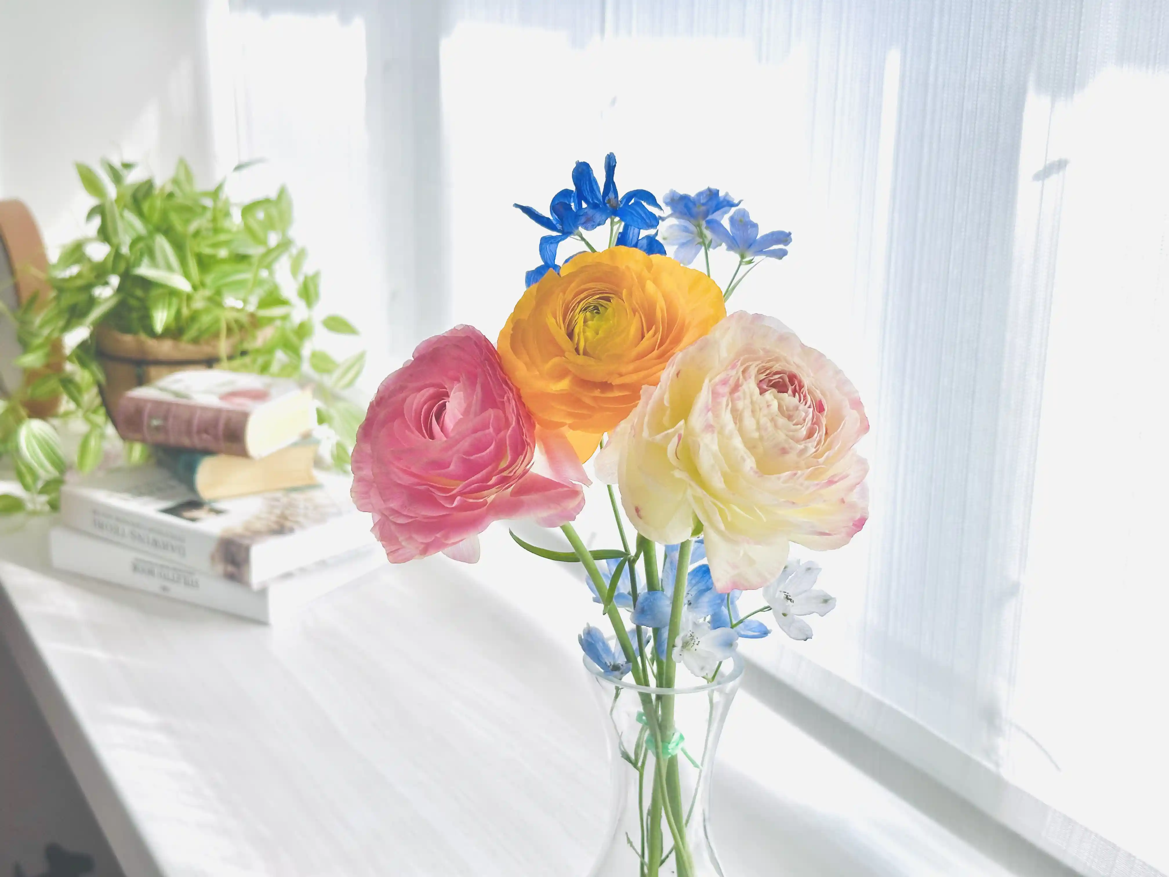 ラナンキュラスの花瓶